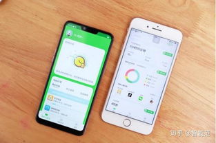 小格雷攜手OPPO，為學生群體量身打造專屬手機
