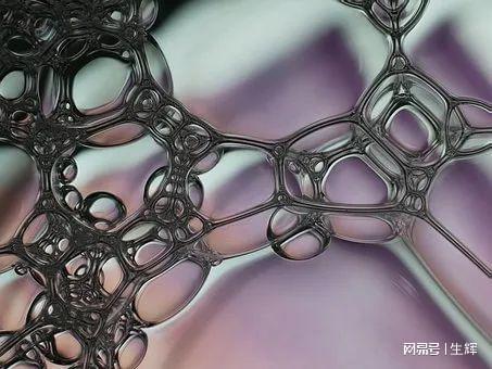 向植物和微生物「索取」清潔力 世界首座商業(yè)化鼠李糖脂工廠即將落地